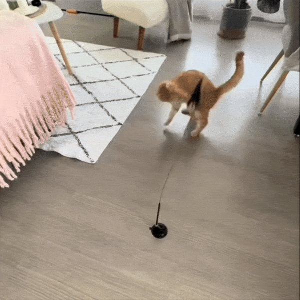 FlaxJakten™ - Glad katt, skonade möbler